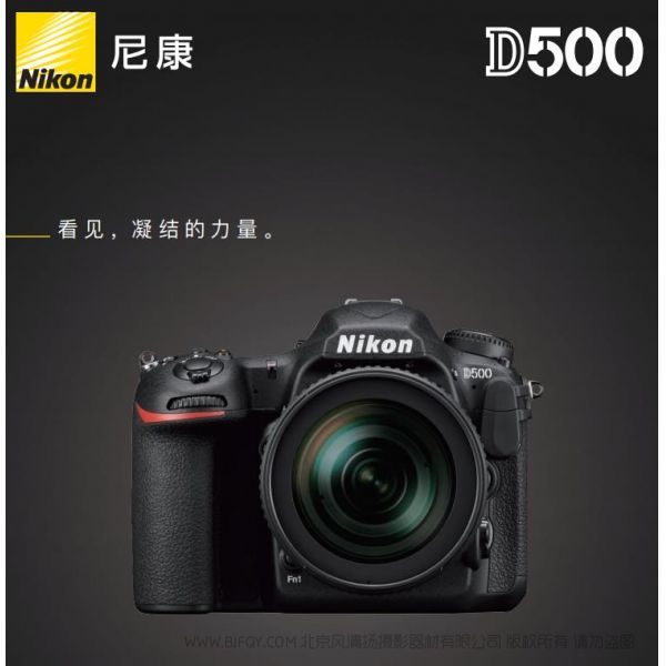 Nikon D500尼康宣傳彩頁Nikon D500 海報(bào) 宣傳冊Nikon D500 經(jīng)銷商宣傳畫冊 Nikon D500展會宣傳圖